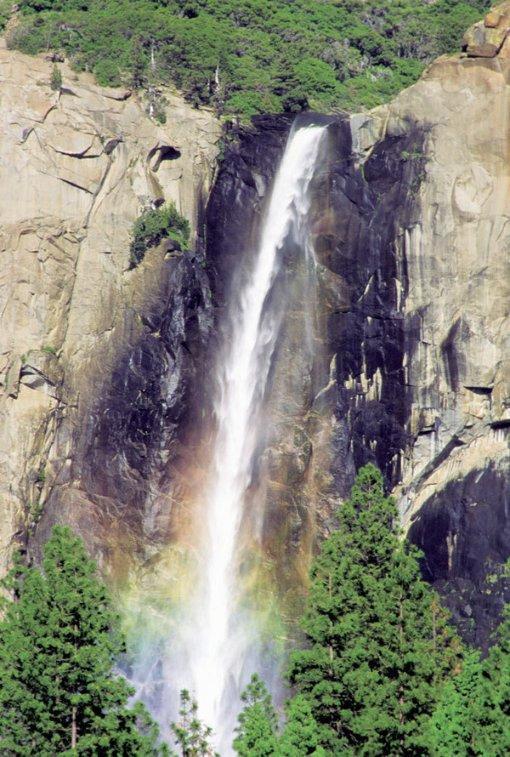 葡萄牙裔归化球员重返山东泰山：战斗力补充还是定时炸弹？